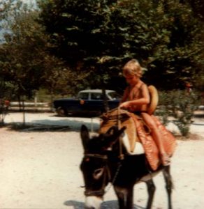 Delfi 1982 auf Esel